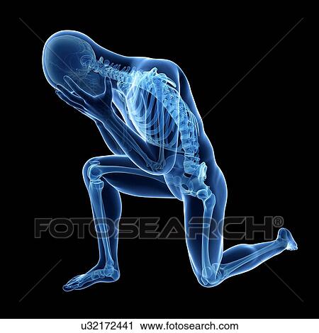 Clip Art - Human skeletal system, illustration. Fotosearch