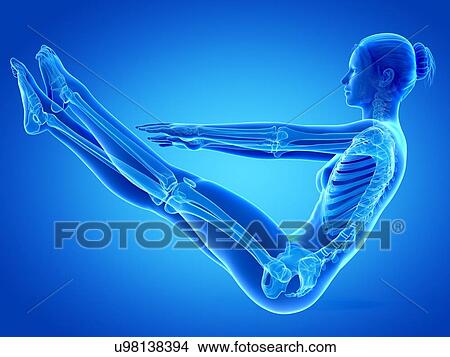 Human skeletal system, illustration View Large Illustration Stock Illustration - Human skeletal system, illustration. Fotosearch