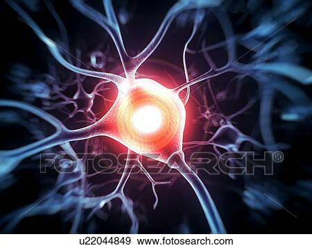 Stock Illustration - Nerve cell, illustration. Fotosearch