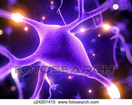 Stock Illustration - Nerve cell, illustration. Fotosearch