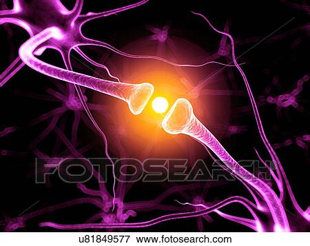 Stock Illustration - Nerve cell, illustration. Fotosearch