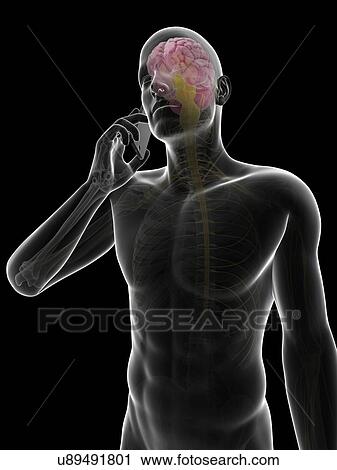 Person using a mobile phone, illustration View Large Illustration Clip Art - Person using a mobile phone, illustration. Fotosearch