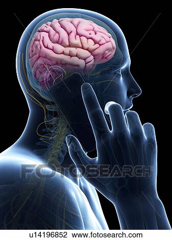Drawing - Person using a mobile phone, illustration. Fotosearch