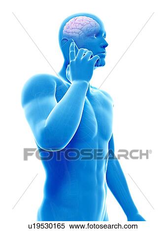 Stock Illustration - Person using a mobile phone, illustration. Fotosearch