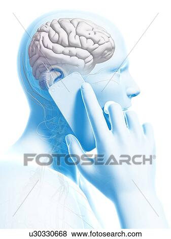 Stock Illustration - Person using a mobile phone, illustration. Fotosearch
