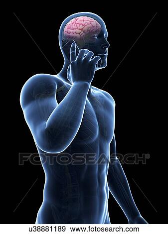 Stock Illustration - Person using a mobile phone, illustration. Fotosearch