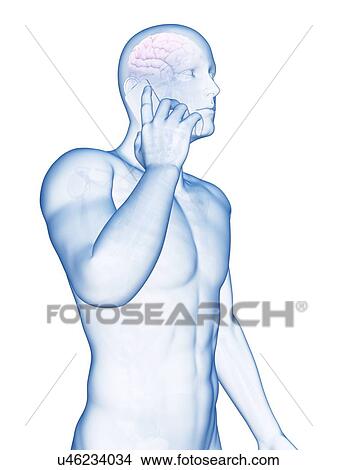 Stock Illustration - Person using a mobile phone, illustration. Fotosearch
