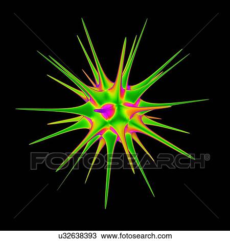 Drawing - Pollen grain, illustration. Fotosearch