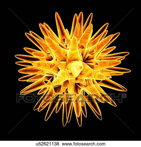 Pollen grain, illustration View Large Illustration Stock Illustration - Pollen grain, illustration. Fotosearch