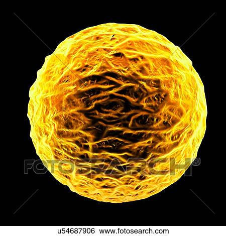 Stock Illustration - Pollen grain, illustration. Fotosearch