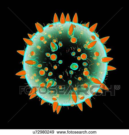 Pollen grain, illustration View Large Illustration Stock Illustration - Pollen grain, illustration. Fotosearch