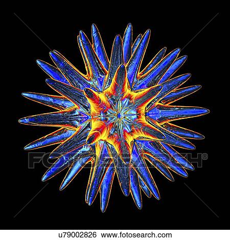 Pollen grain, illustration View Large Illustration Stock Illustration - Pollen grain, illustration. Fotosearch