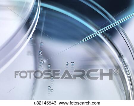 Stock Image - Stem Cell Research. Fotosearch