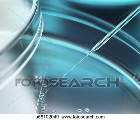 Stock Photo - Stem Cell Research. Fotosearch