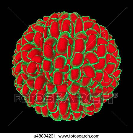 Clip Art - Virus, conceptual illustration. Fotosearch