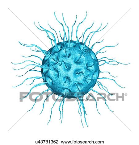 Drawing - Virus, conceptual illustration. Fotosearch