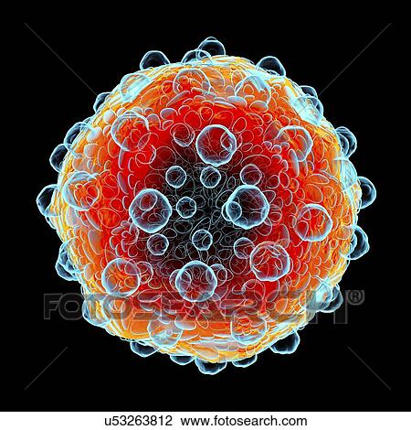 Drawing - Virus, conceptual illustration. Fotosearch
