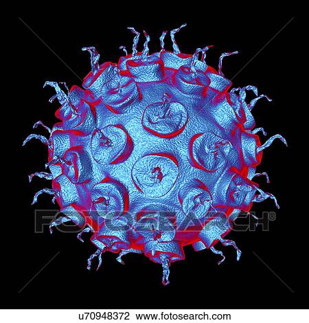 Drawing - Virus, conceptual illustration. Fotosearch