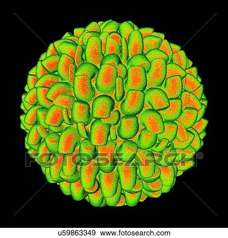 Stock Illustration - Virus, conceptual illustration. Fotosearch