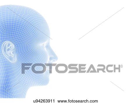 Clip Art - Wireframe head. Fotosearch