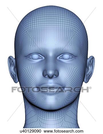 Clipart - Wireframe head. Fotosearch