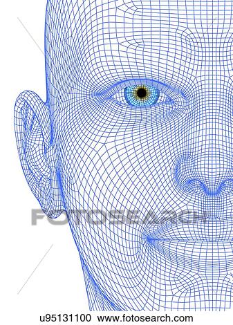 Wireframe head View Large Illustration Clipart - Wireframe head. Fotosearch