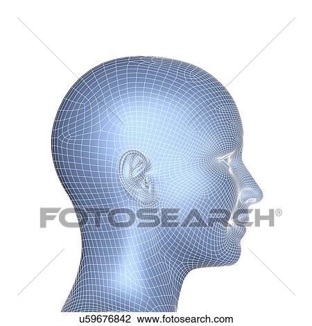 Drawing - Wireframe head. Fotosearch