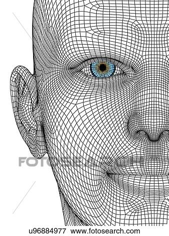 Stock Illustration - Wireframe head. Fotosearch