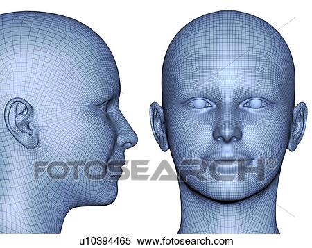 Wireframe heads View Large Illustration Stock Illustration - Wireframe heads. Fotosearch