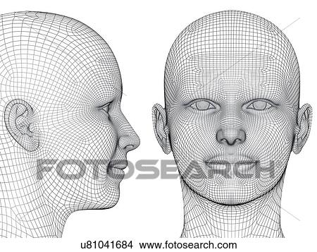 Wireframe heads View Large Illustration Stock Illustration - Wireframe heads. Fotosearch