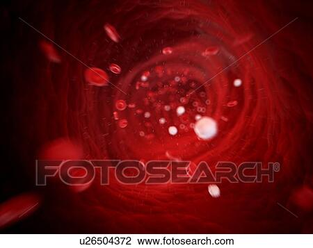 人間 血 細胞 イラスト スケッチ U Fotosearch