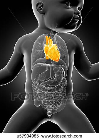Stock Illustration - Baby's heart, illustration. Fotosearch