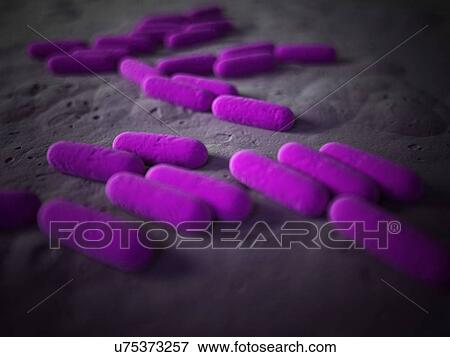 Bacteria, illustration View Large Illustration Stock Illustration - Bacteria, illustration. Fotosearch