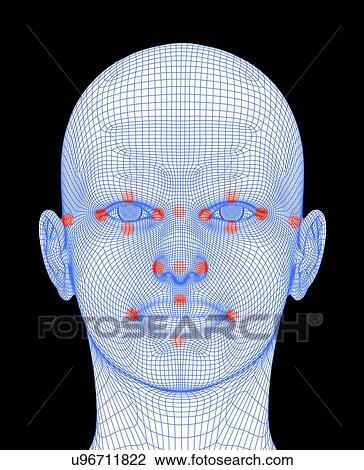 Drawing - Biometric facial map. Fotosearch