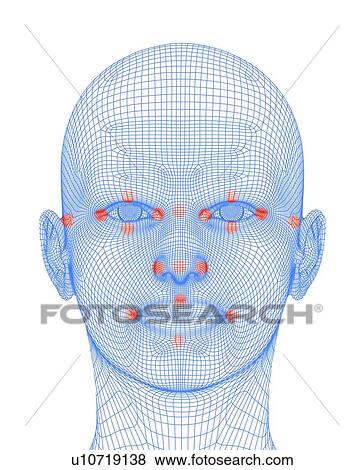 Biometric facial map View Large Illustration Stock Illustration - Biometric facial map. Fotosearch