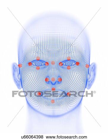 Biometric facial map View Large Illustration Stock Illustration - Biometric facial map. Fotosearch
