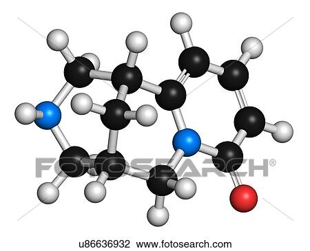 Cytisine smoking cessation drug molecule View Large Illustration Drawing - Cytisine smoking cessation drug molecule. Fotosearch