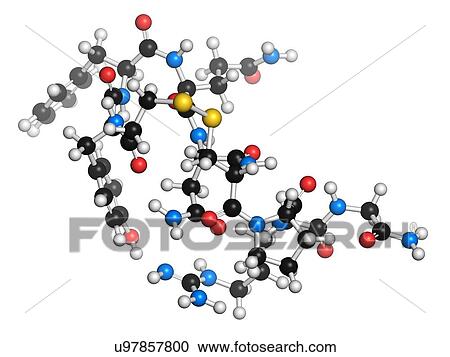Clipart - Desmopressin peptide molecule. Fotosearch