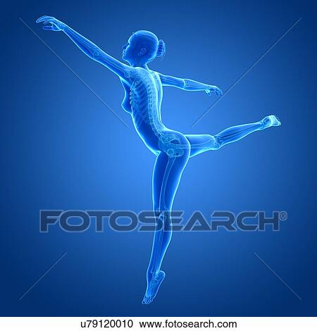 Clipart - Female dancer, illustration. Fotosearch