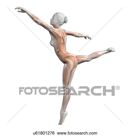 Female dancer, illustration View Large Illustration Stock Illustration - Female dancer, illustration. Fotosearch