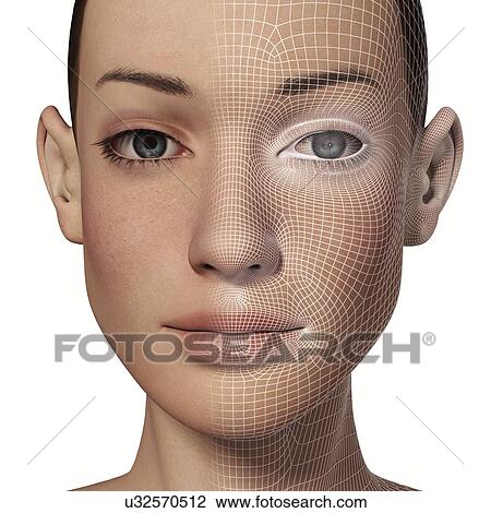 Drawing - Female Head with biometric facial map. Fotosearch
