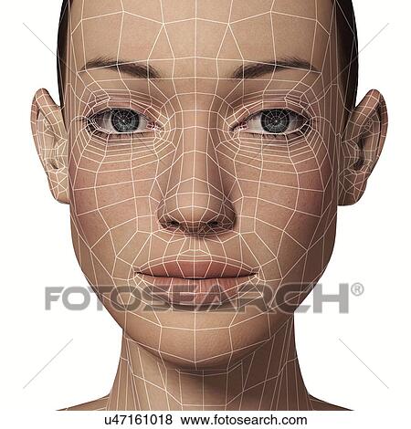 Stock Illustration - Female Head with biometric facial map. Fotosearch