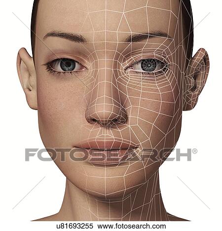 Female Head with biometric facial map View Large Illustration Stock Illustration - Female Head with biometric facial map. Fotosearch