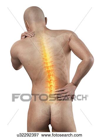 Human back pain, illustration View Large Illustration Stock Illustration - Human back pain, illustration. Fotosearch