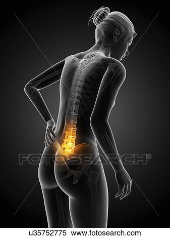 Human back pain, illustration View Large Illustration Stock Illustration - Human back pain, illustration. Fotosearch