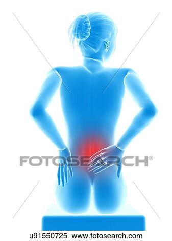 Human back pain, illustration View Large Illustration Stock Illustration - Human back pain, illustration. Fotosearch