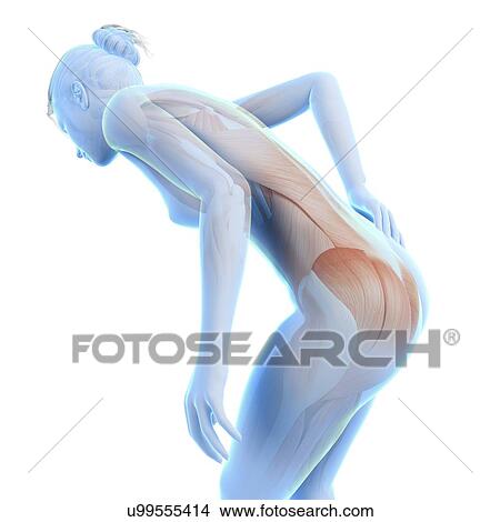Human back pain, illustration View Large Illustration Stock Illustration - Human back pain, illustration. Fotosearch