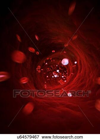 Human blood cells, illustration View Large Illustration Stock Illustration - Human blood cells, illustration. Fotosearch