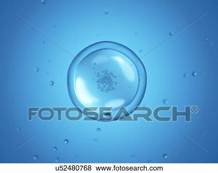 Stock Illustration - Human cell, illustration. Fotosearch