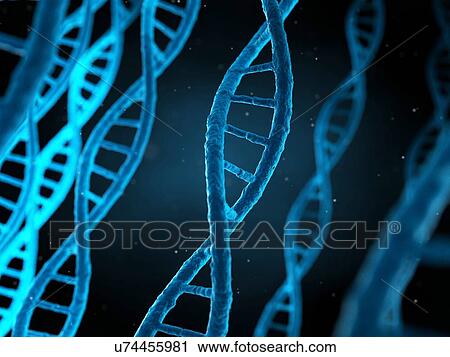 Human DNA, illustration View Large Illustration Clip Art - Human DNA, illustration. Fotosearch